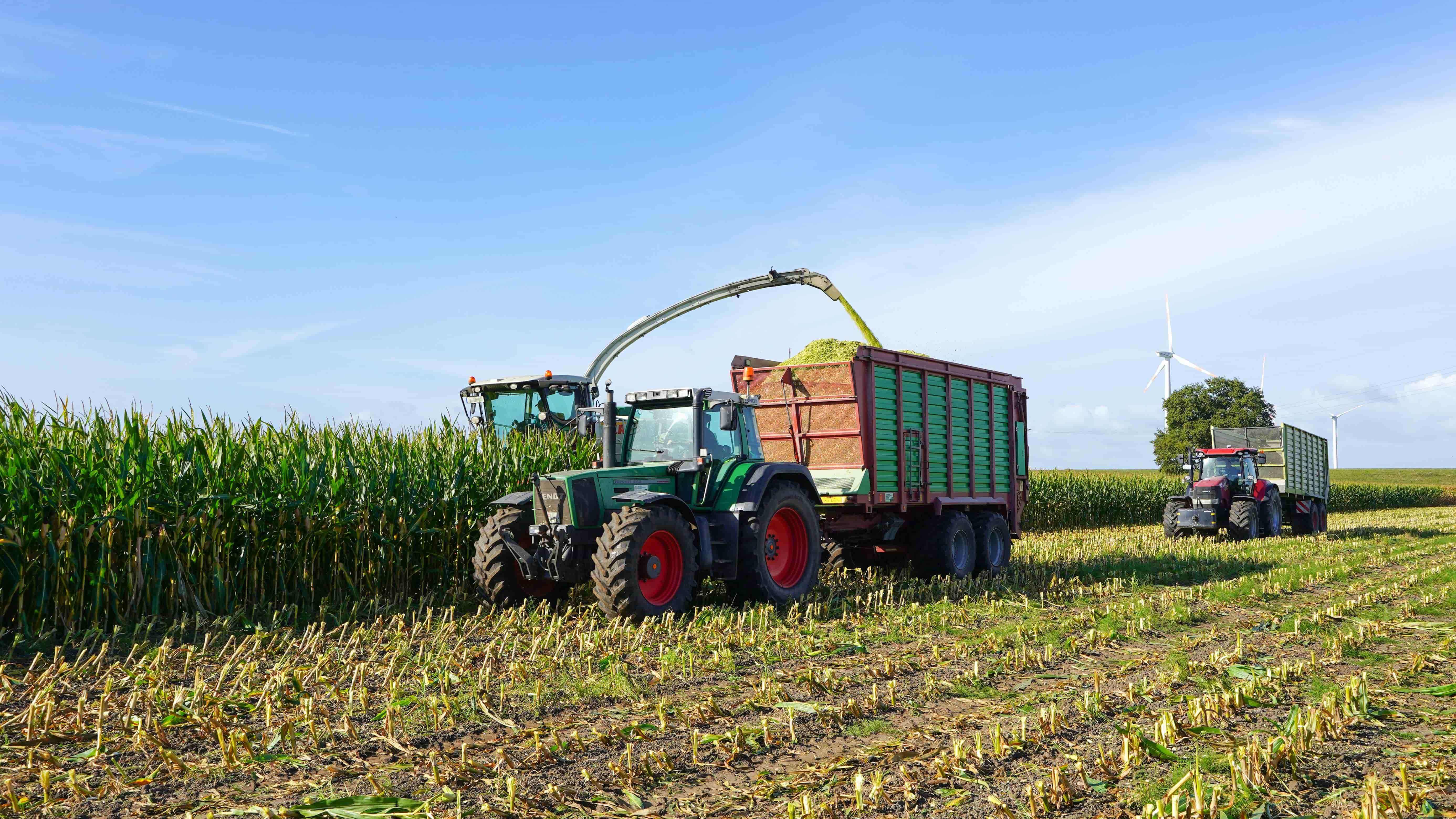 Agriculture Industry