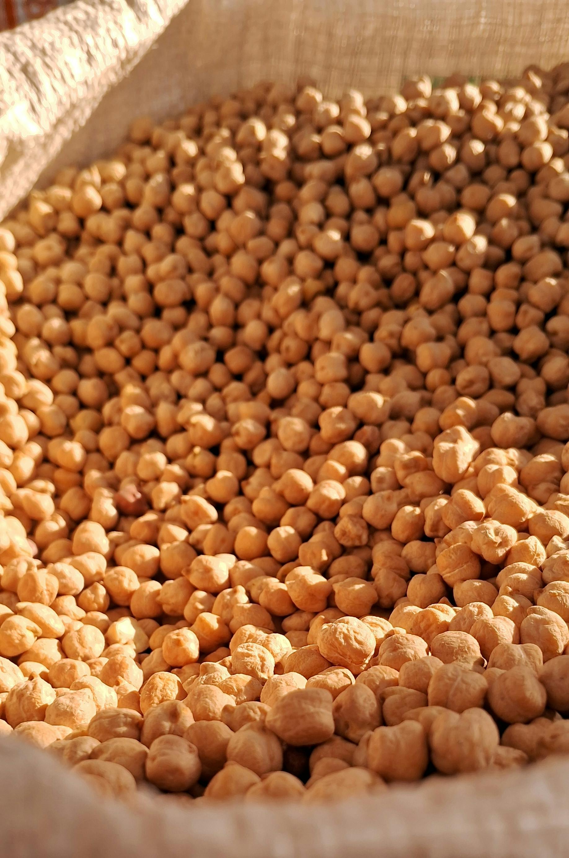 Chickpeas (Desi & Kabuli)