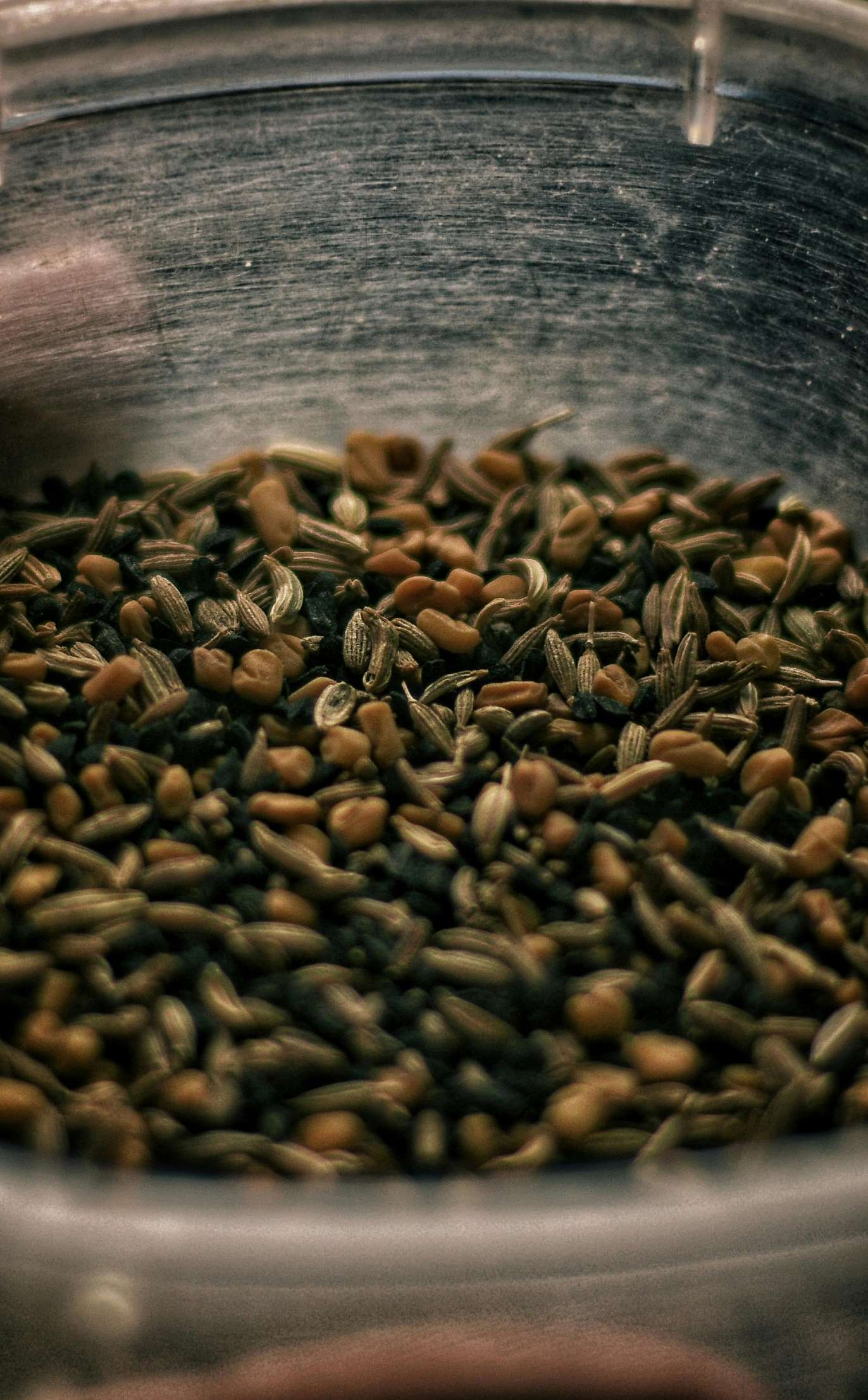 Cumin Seeds (Jeera)